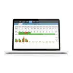 Financial Spreadsheet for Churches: Manage Your Church Finances Efficiently